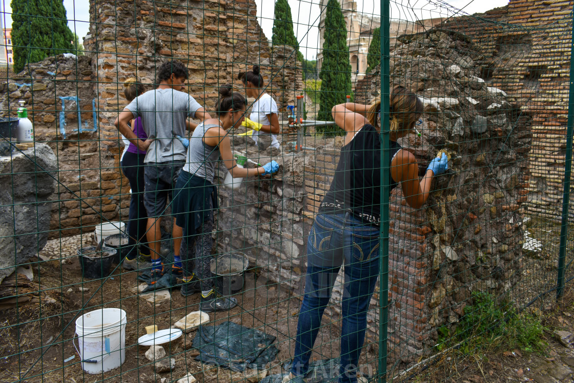 "Caged Archaeologists" stock image