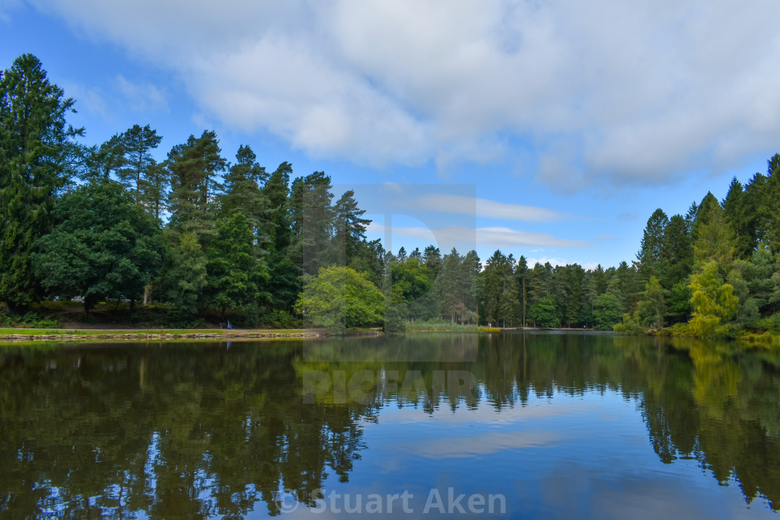 "Forest Waters #50" stock image