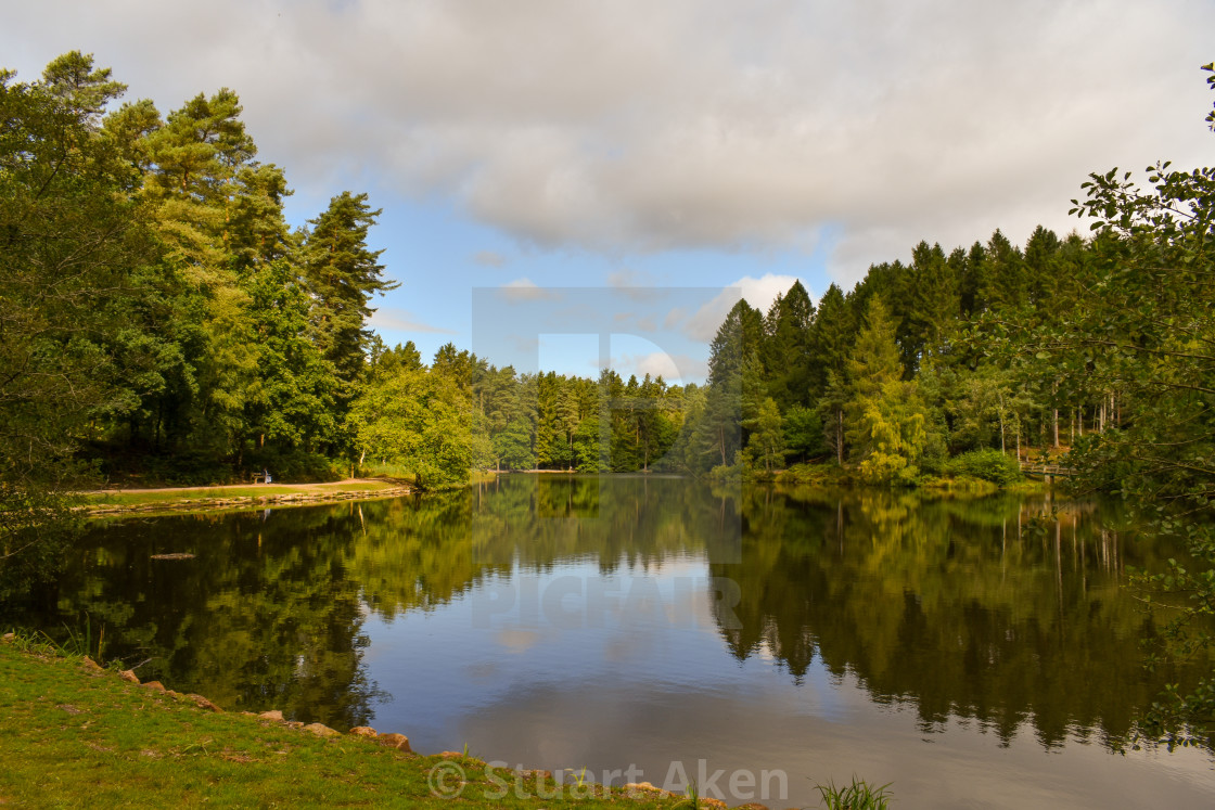 "Forest Waters #51" stock image