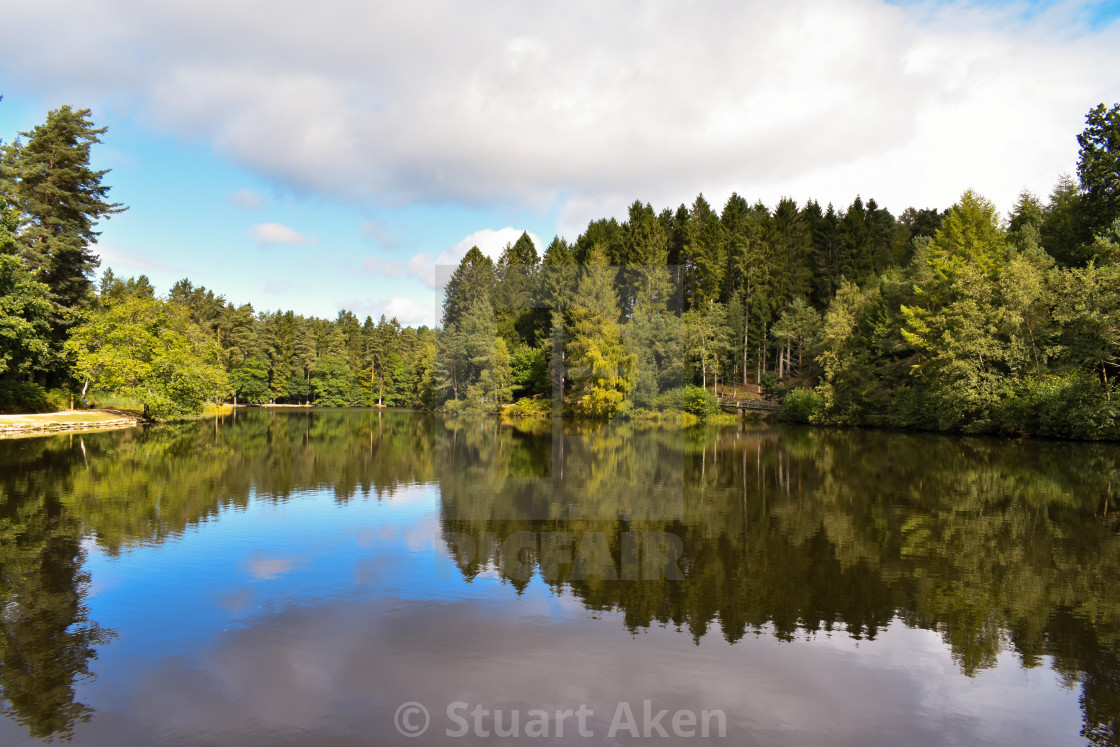 "Forest Waters #53" stock image