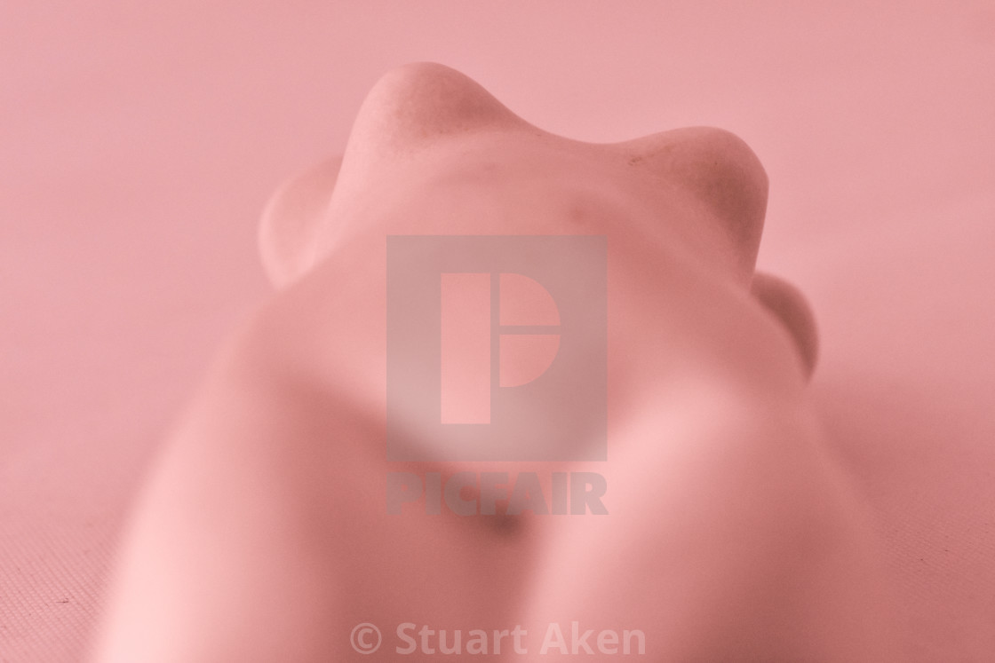 "In the Pink" stock image