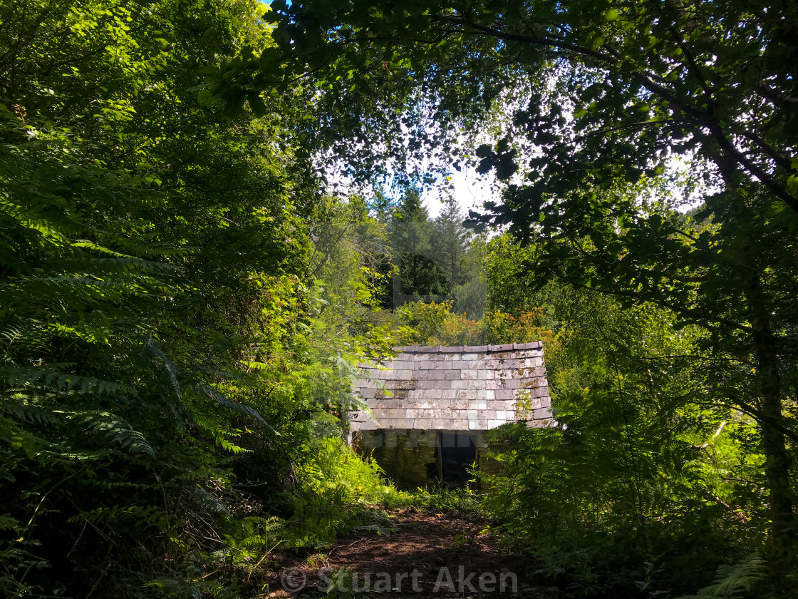 "Secluded" stock image