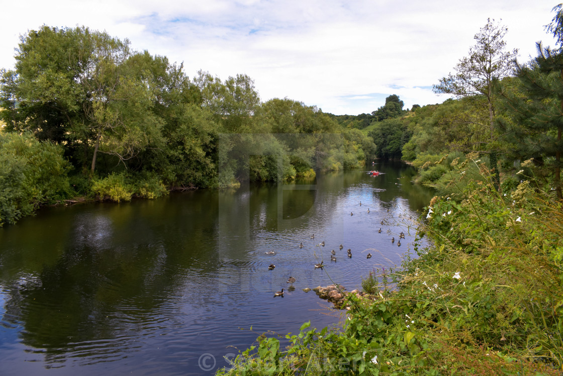 "Forest Waters #58" stock image