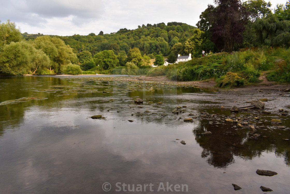 "Forest Waters #57" stock image