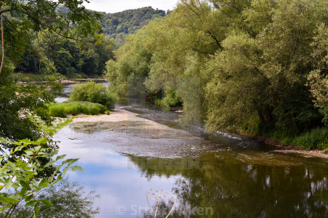 "Forest Waters #56" stock image