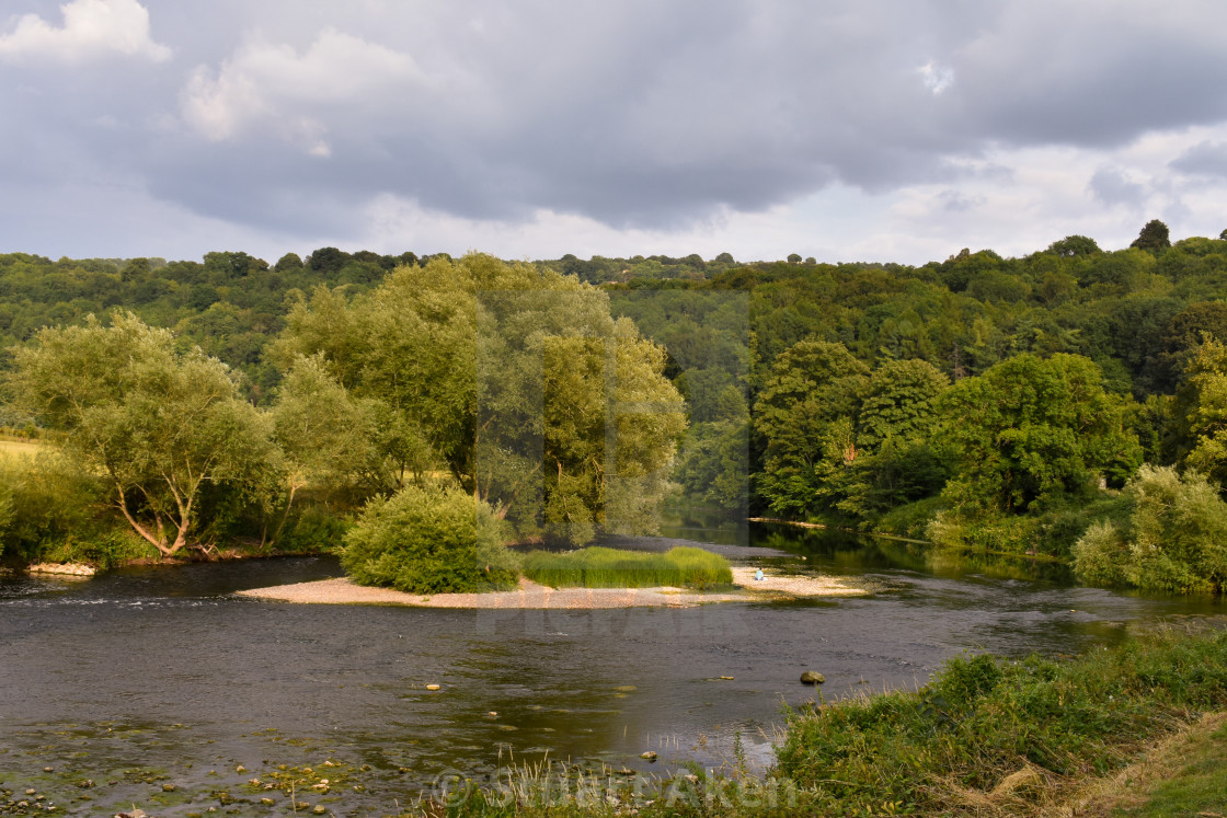 "Forest Waters #55" stock image