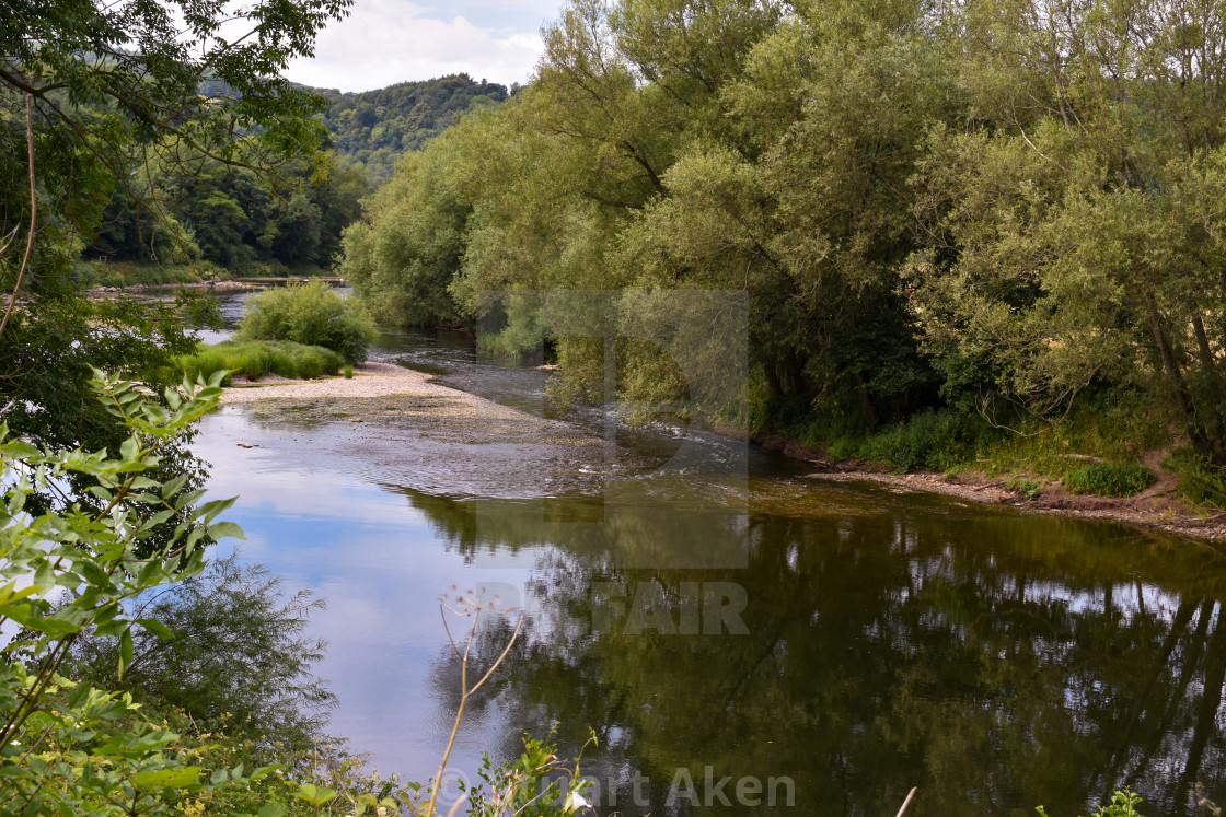 "Forest Waters #60" stock image