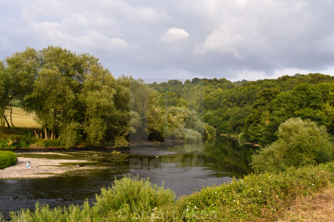 "Forest Waters #64" stock image