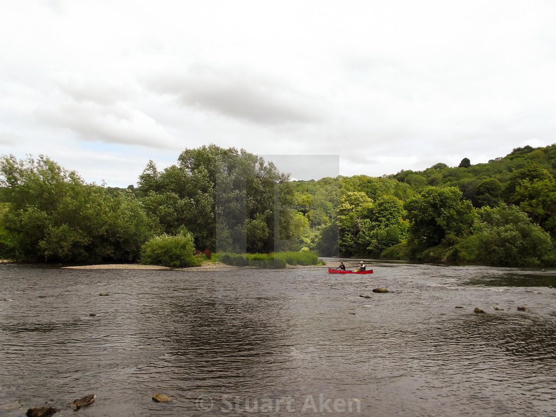 "Forest Waters #65" stock image