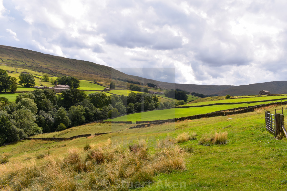 "Wild Fields" stock image