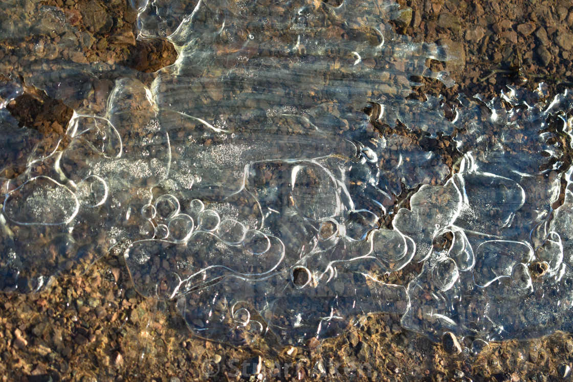 "Puddle" stock image