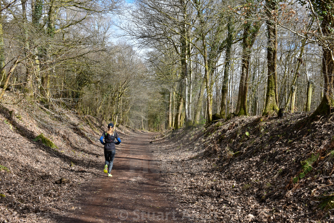 "Jogging in the Forest" stock image