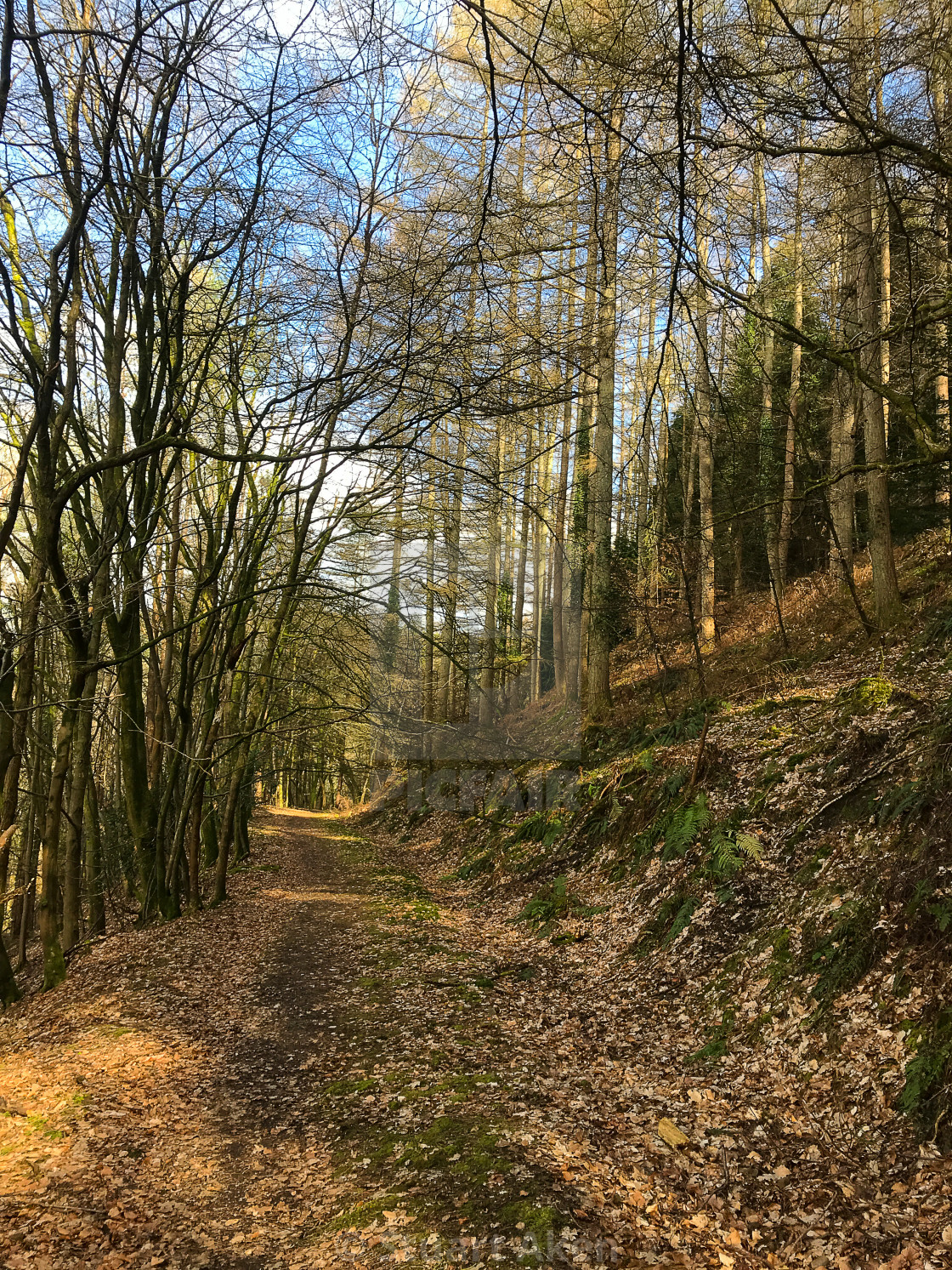 "March Walk" stock image