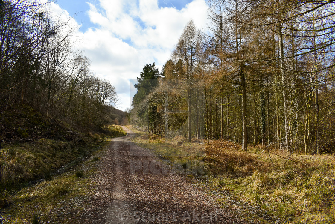 "Stony Track" stock image