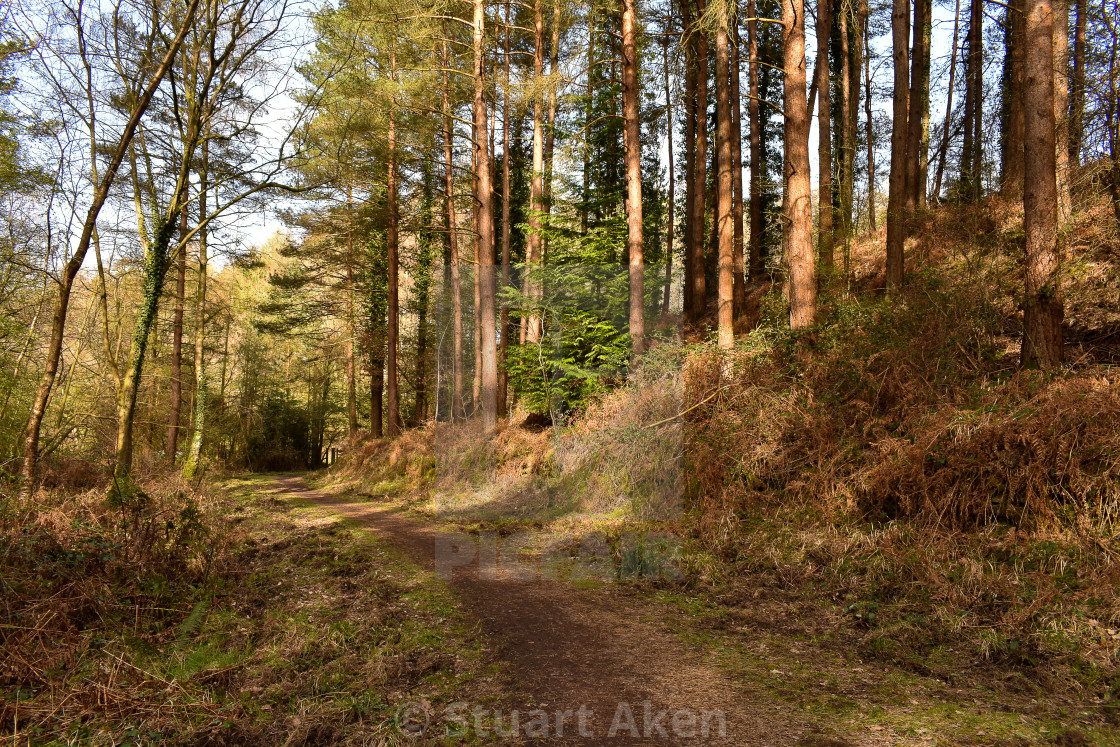 "Walking in March" stock image