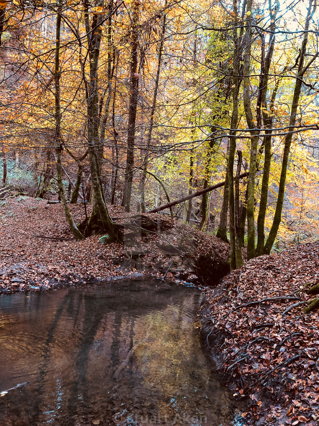 "Reflections of Autumn" stock image