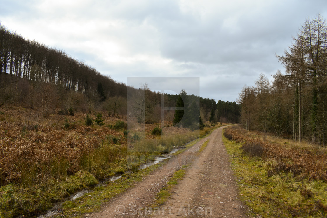 "Road to Where?" stock image