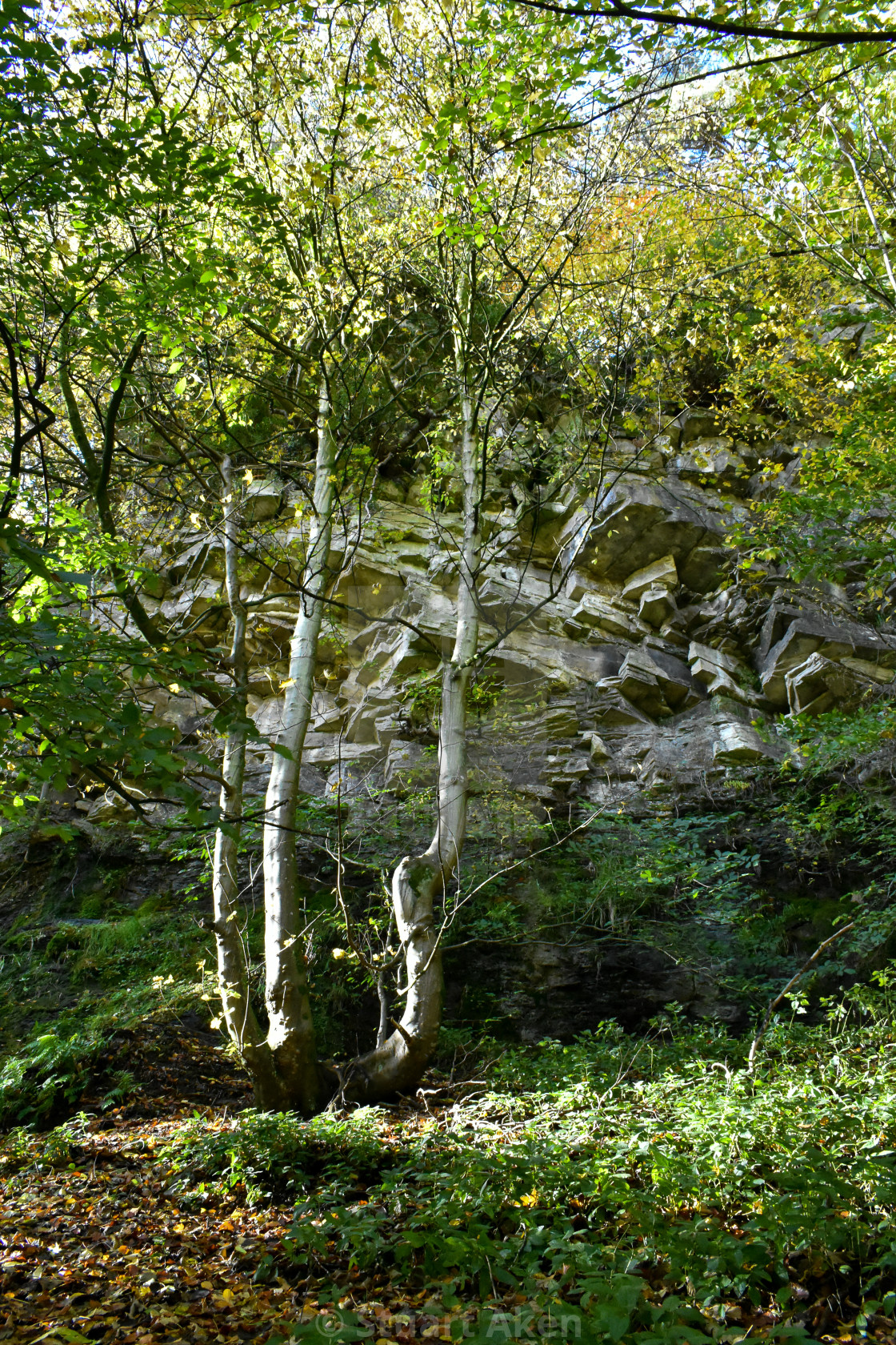 "Rocky Outcrop" stock image