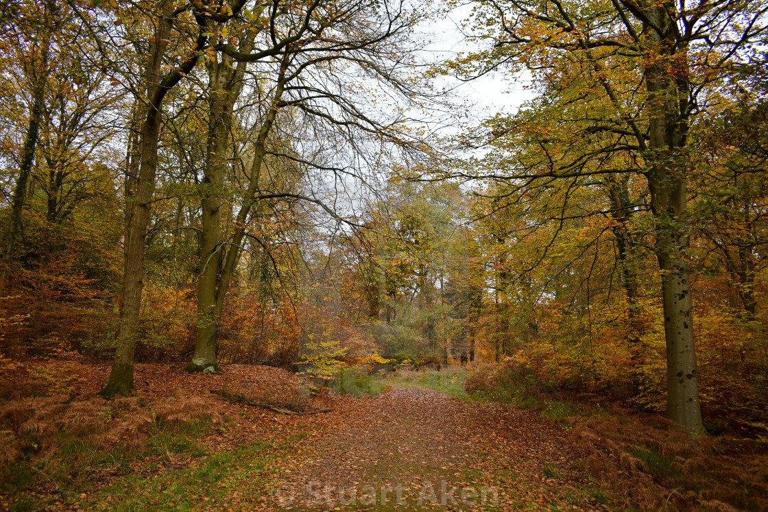 "Russet Road" stock image