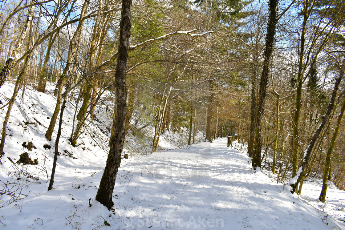 "Track Through Snow" stock image