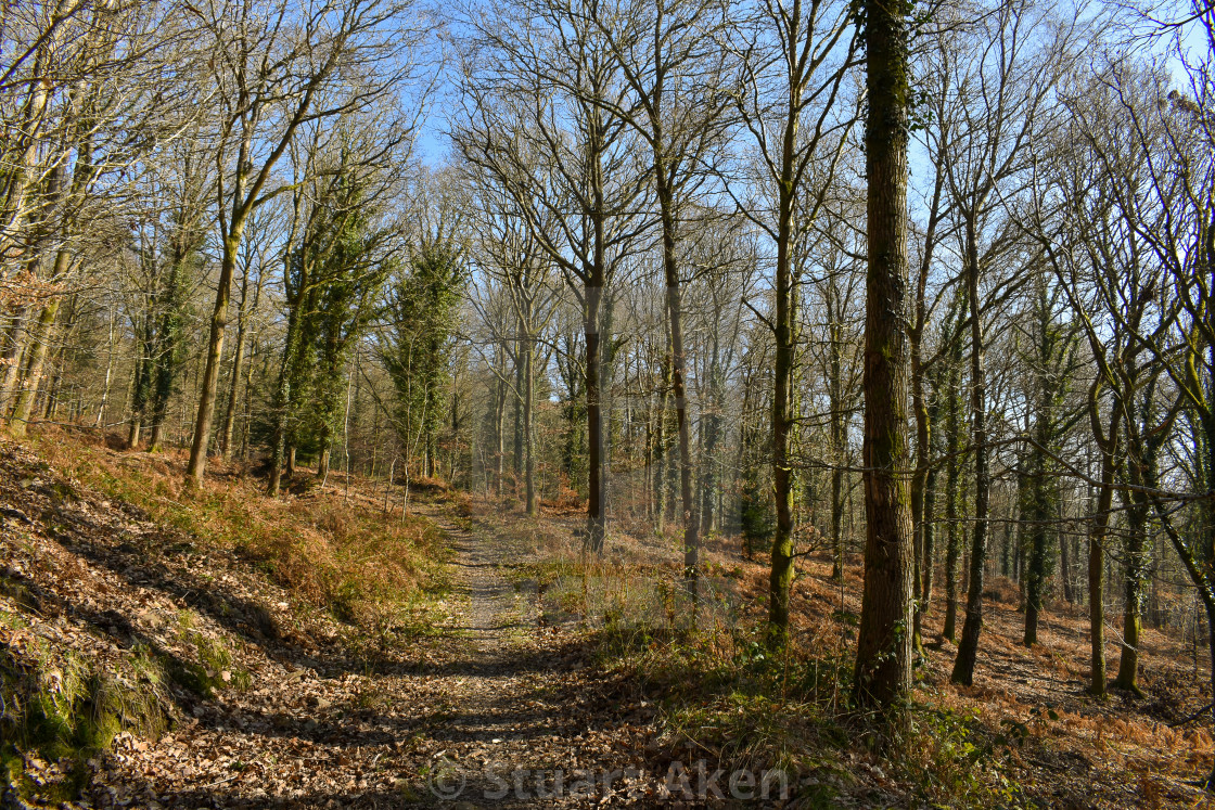 "Trail in February" stock image