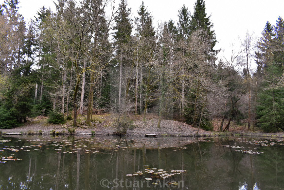 "April at the Pond" stock image