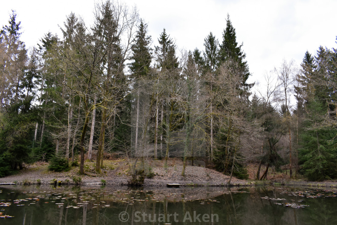 "Fishing Platform" stock image