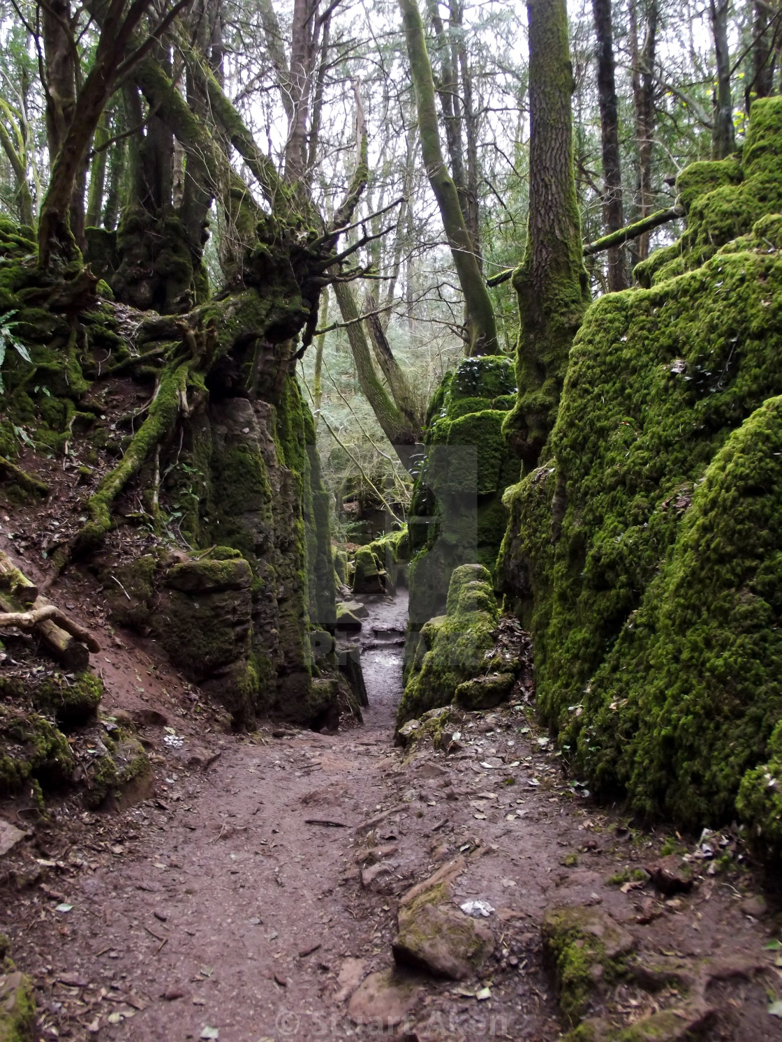 "Narrow the Way Down" stock image