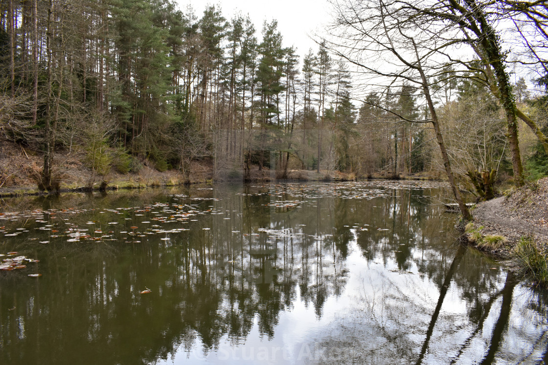 "On an April Pond" stock image