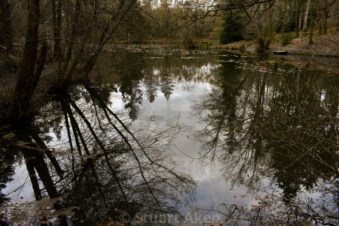 "Spring Reflection" stock image