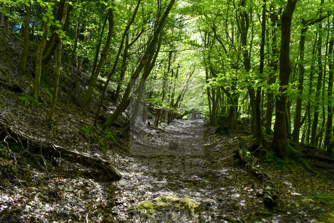 "Along the Dark Lane" stock image