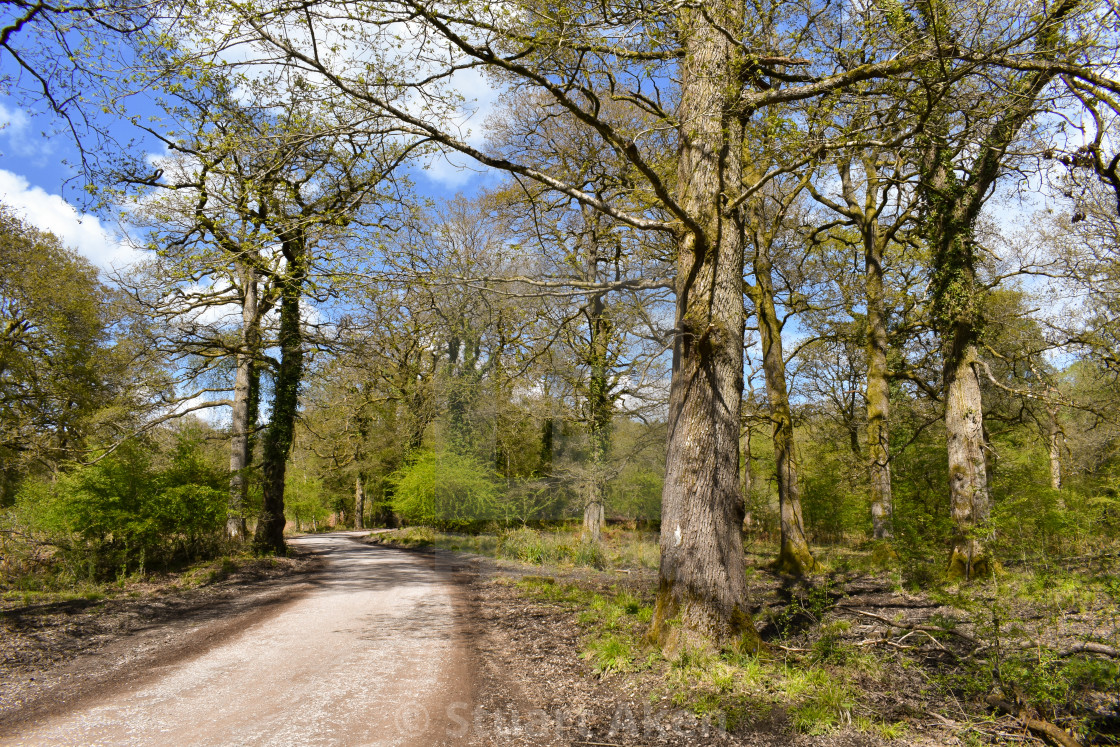 "Curving Road" stock image