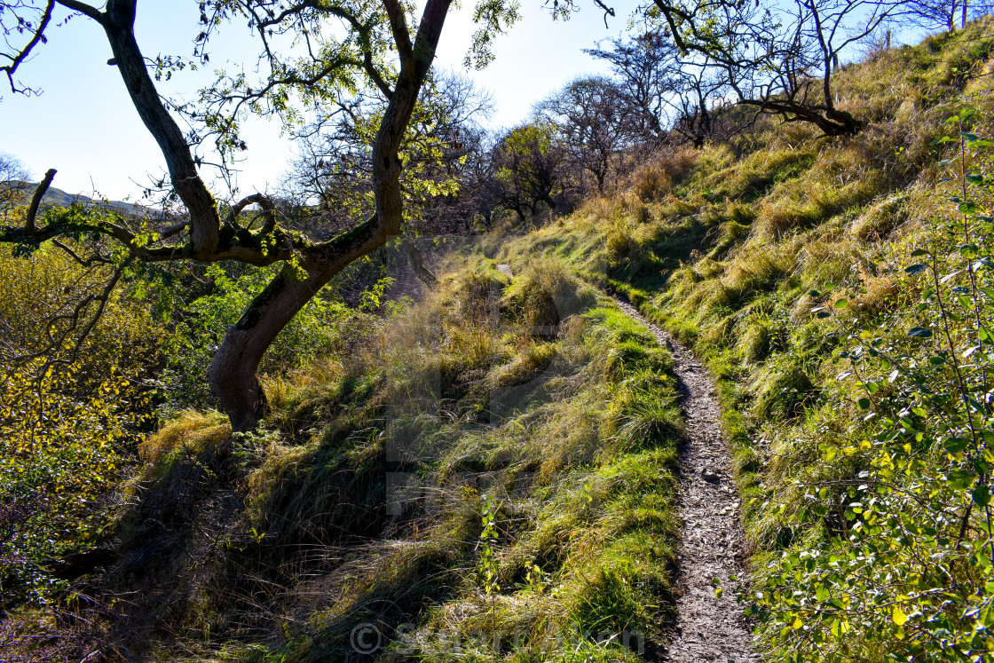 "Hillside Path" stock image