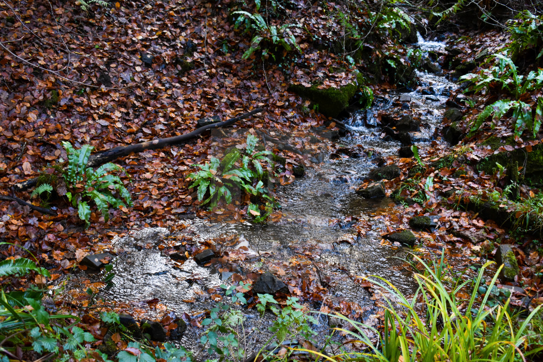 "Small Stream." stock image