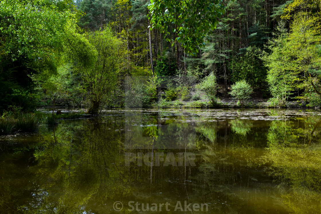 "Green Shades" stock image