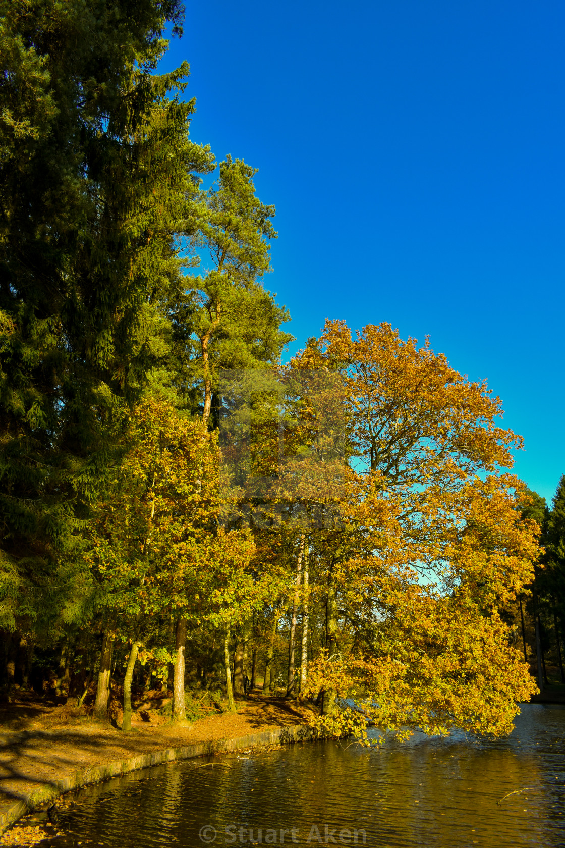 "November Lake" stock image