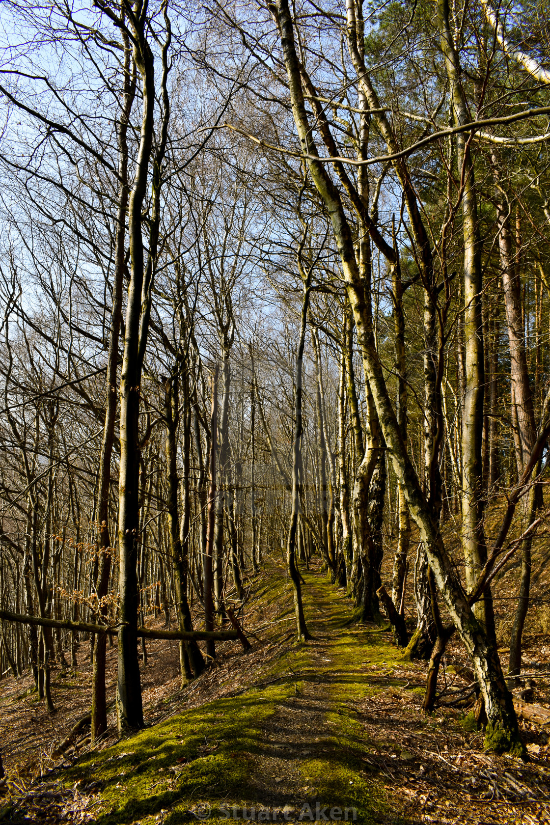 "March Track" stock image