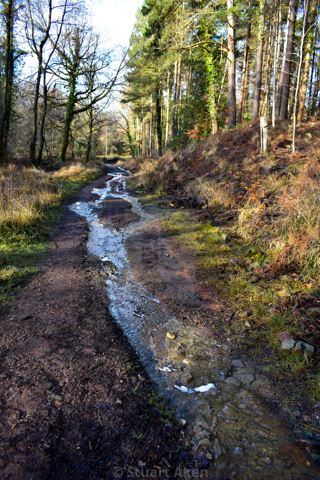 "Path Becomes Watercourse" stock image