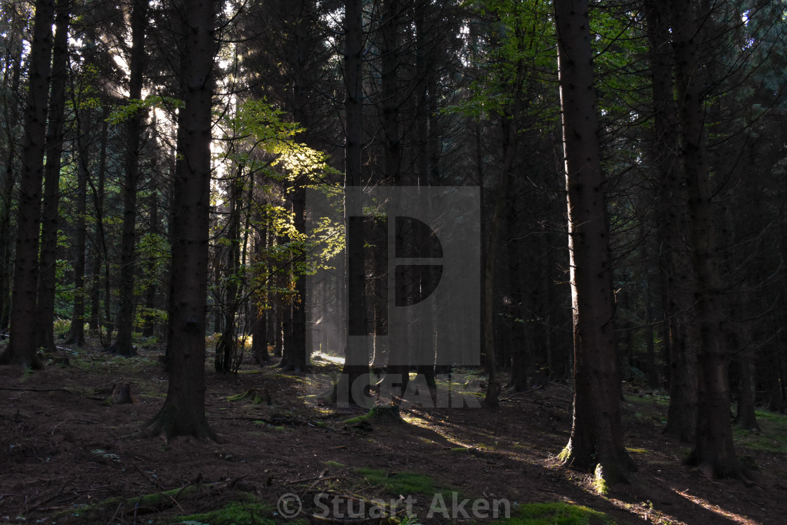 "Sunbeams in the Dark" stock image