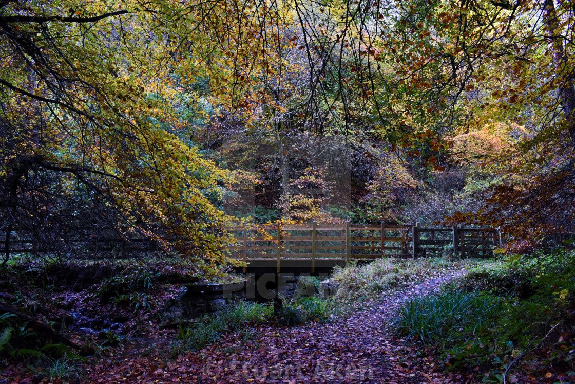 "Bridge in November" stock image