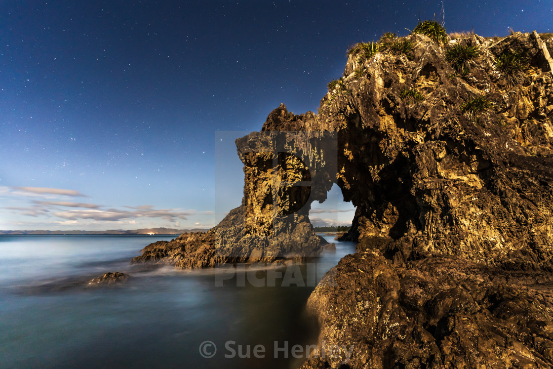 "Whites Bay, Marlborough Sounds." by Sue Henley - $27.39 "Whites Bay, Marlborough Sounds." stock image