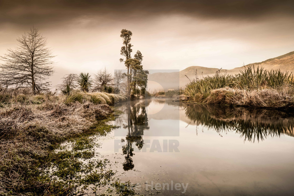 "Para Wetlands" by Sue Henley - $27.39 "Para Wetlands" stock image