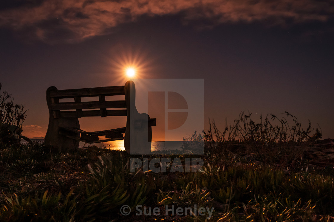 "Take a Pew" by Sue Henley - $27.39 "Take a Pew" stock image