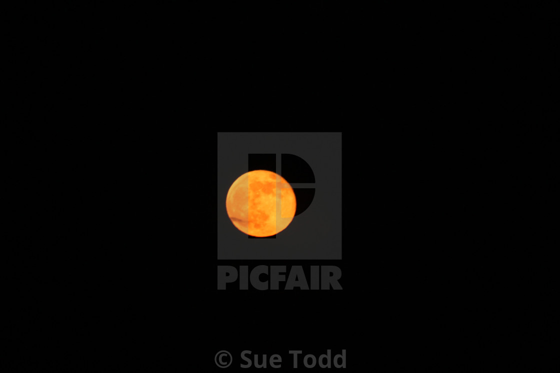 "Pink Supermoon 2021" stock image