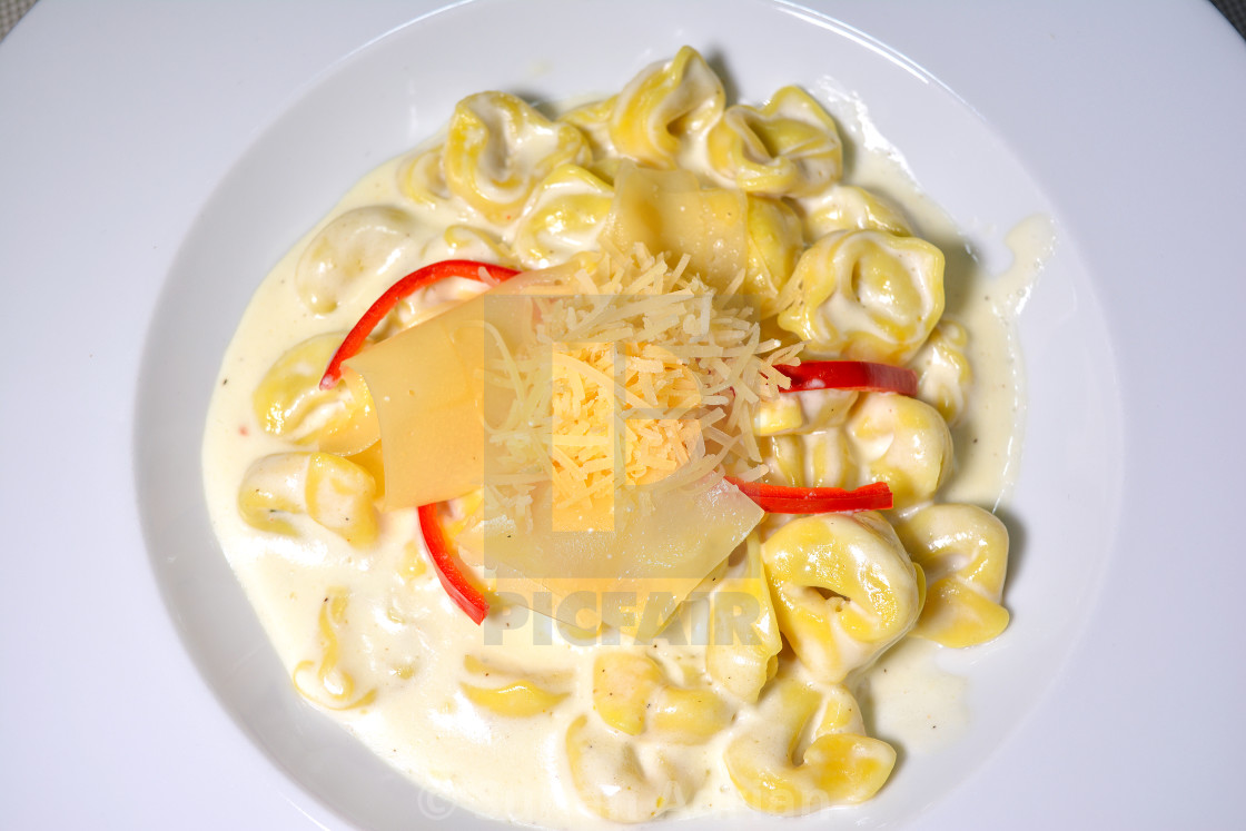 "Tortellini with white sauce" stock image