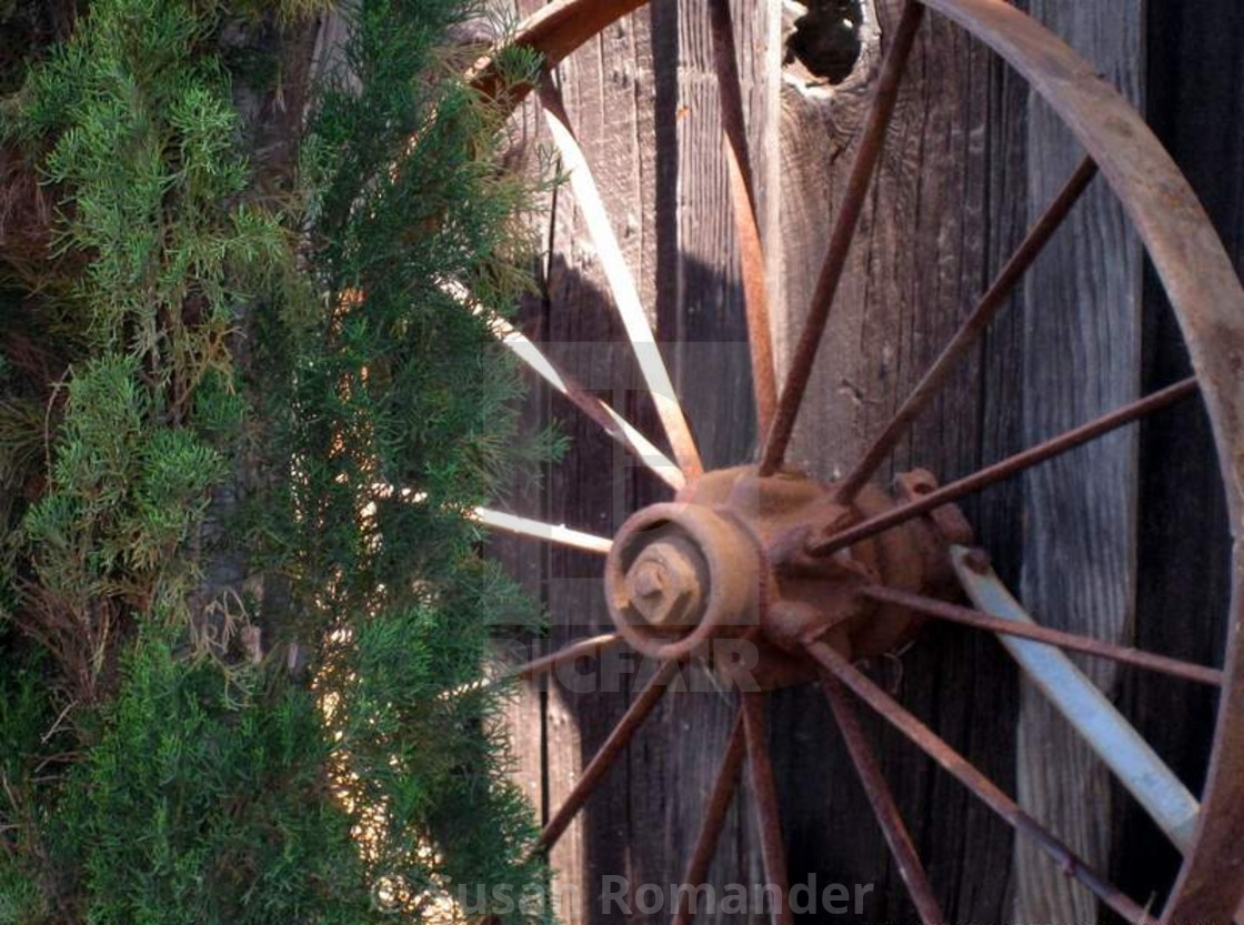 "Covered wagon wheel" by Susan Romander - £12.40 "Covered wagon wheel" stock image