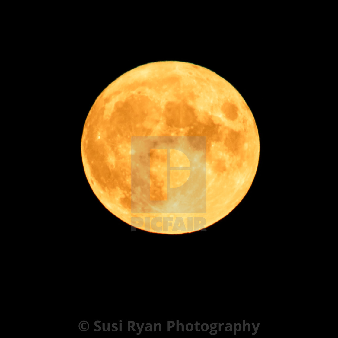 "Harvest Moon in Vermont" stock image