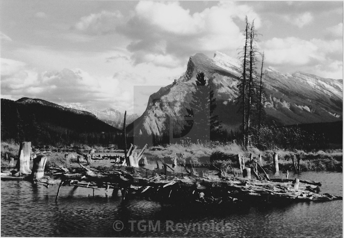 "Rundle Mountain, Banff." stock image
