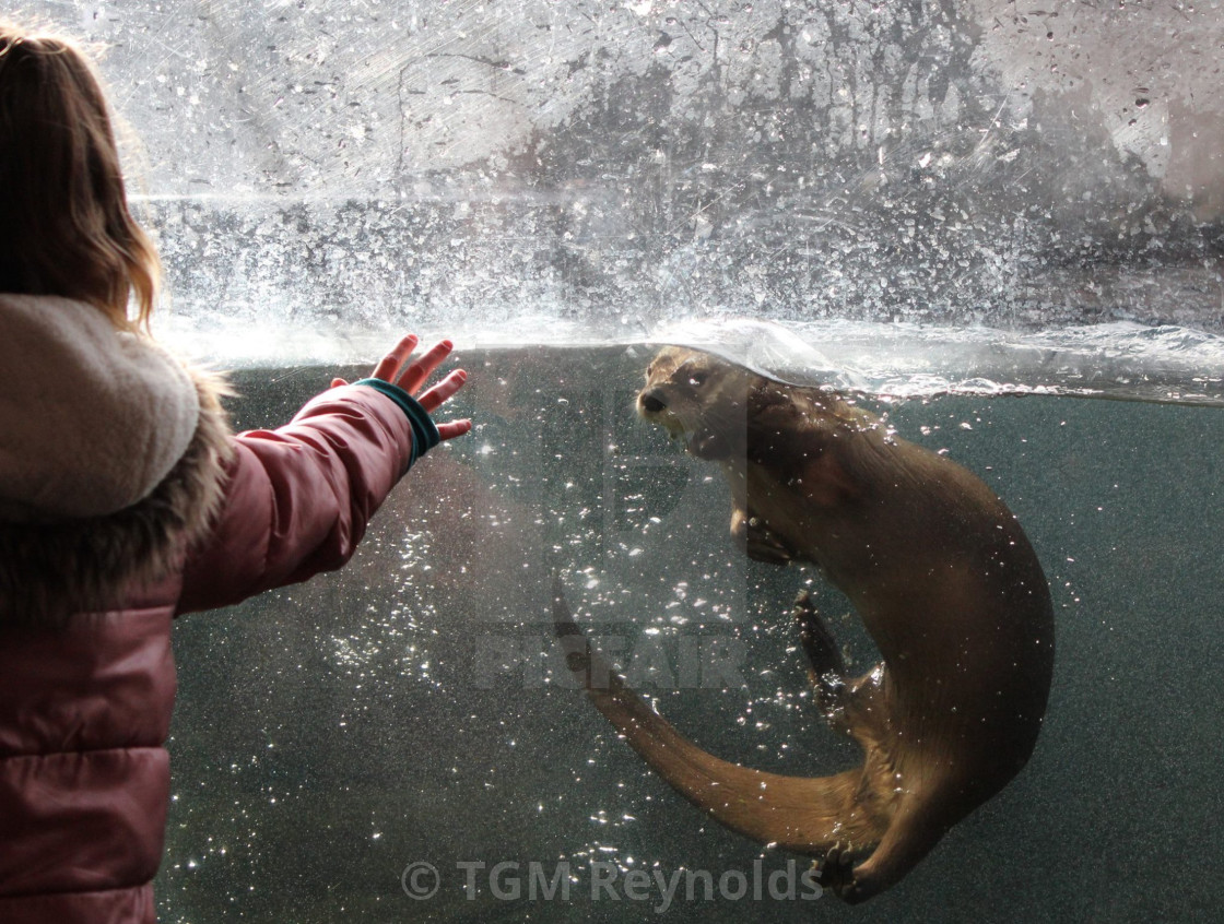 "The Otter and his Girl" stock image