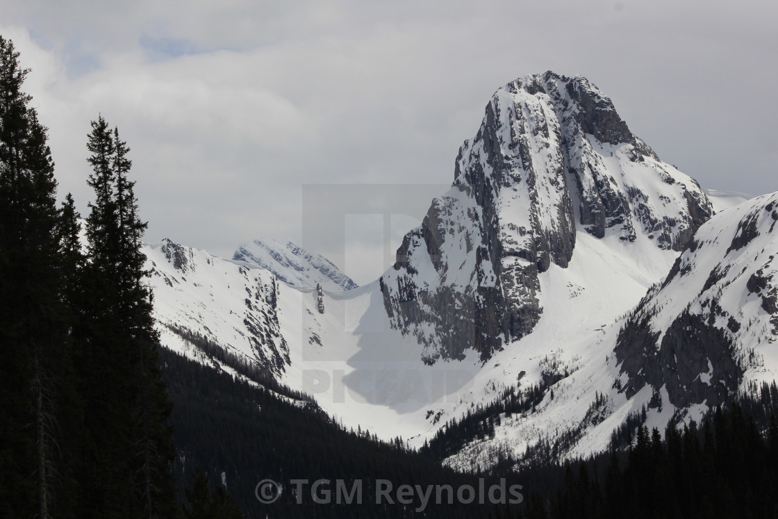 "Late Season Snow" stock image